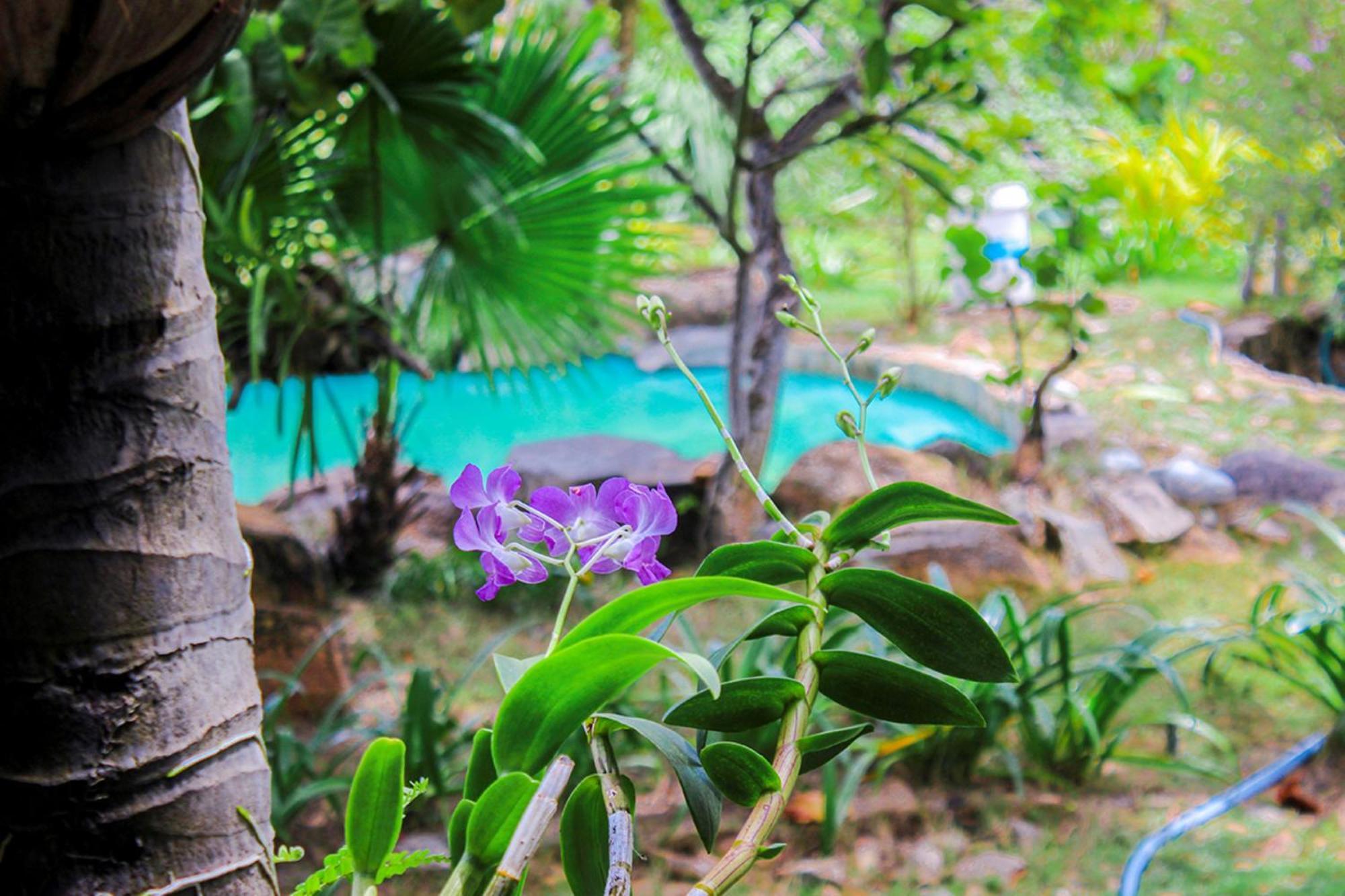 Me Bungalow Beach Resort Phan Thiết Eksteriør billede